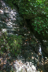 愛媛県大洲市　白滝公園　合歓の滝