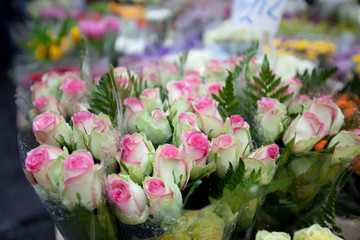 white rose for sale in flower market in london