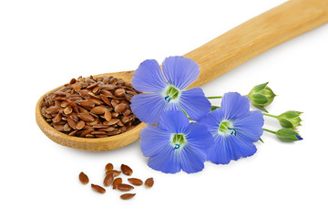 Obraz na płótnie Canvas flax seeds in wooden spoon with flower isolated on white background