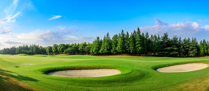 Green grass and woods on a golf field