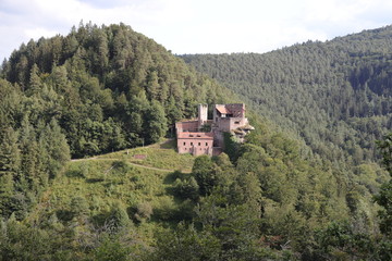 Fototapeta na wymiar Burg Spangenberg im Elmsteiner Tal