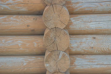 Wooden logs close-up, log in the grass. Wooden table and bench in the forest. Wood as background and texture.