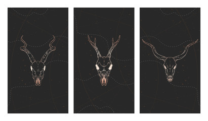 Vector set of three illustrations with gold skulls deer, antelopes and grunge elements on black background.
