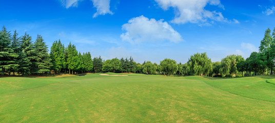 Green grass and blue sky with white clouds in summer season