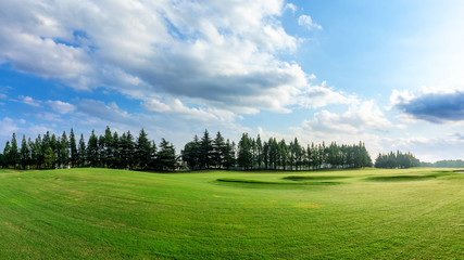 Green grass and blue sky with white clouds in summer season