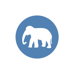 elephant silhouette, icon. Simple vector illustration for graphic and web design.