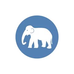 Foto op Canvas elephant silhouette, icon. Simple vector illustration for graphic and web design. © OLGA