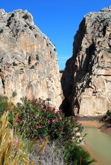 View of the gorge and lake with the Devils Bridge to the rear, El Chorro, Andalusia, Spain.