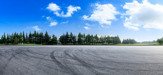 Asphalt race track and green woods nature landscape in summer
