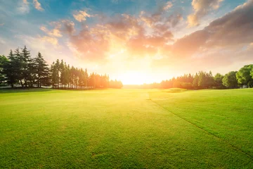Fototapeten Grünes Gras und Wald mit schönen Wolken bei Sonnenuntergang © ABCDstock