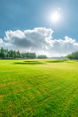 Green grass and blue sky with white clouds in summer season