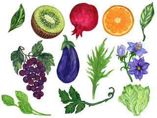Watercolor hand paint eco food organic cafe menu design. natural fresh fruits and vegetable illustration
