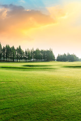 Obraz premium Green grass and forest with beautiful clouds at sunset