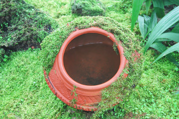 Decorative earthen jar with  green moss patterns growing around and water inside in garden natural...