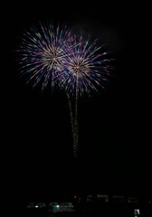 《大曲の花火》秋田県大仙市