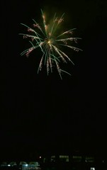 《大曲の花火》秋田県大仙市