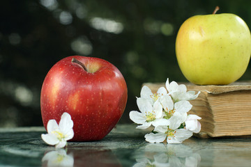 Still life with red and yellow apples and a large book on a marble table, soon to school