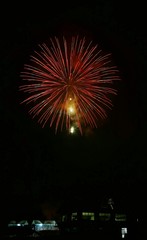 《大曲の花火》秋田県大仙市