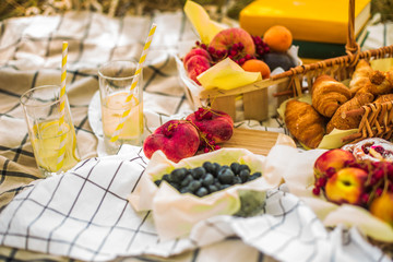 Picnic in the park on the tablecloth
