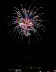 《大曲の花火》秋田県大仙市