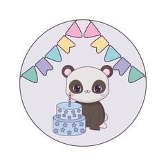 panda bear animal with cake birthday and garlands