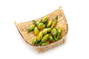 ストライプドトガ