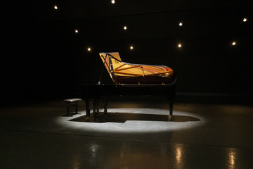 classical piano in the center of a theater - France - obrazy, fototapety, plakaty