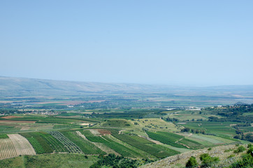Fototapeta na wymiar Green farm fields next to Metula - the most northern town in Israel