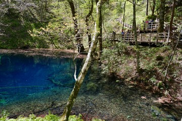 《十二湖の四季》青森県深浦町