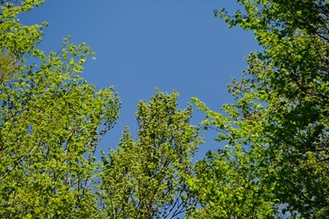 《十二湖の四季》青森県深浦町