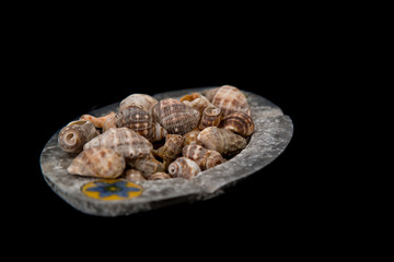 decorative metal tray with seashells