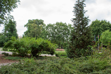 Fototapeta premium A beautiful, well-kept green European park with shady alleys, a trimmed lawn, decorative bushes and trees on a summer day.