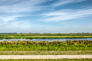 Fototapeta na wymiar Concrete bicycle path along the wetlands next to the new Reevediep river channel near Kampen, The Netherlands, created to prevent flooding of the IJssel river under a summer sky with cirrus clouds