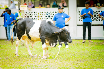 selangor , Malaysia August 11, 2019 - 