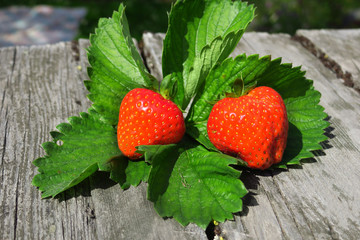 fresh strawberries on outside table with summer foliage in background.