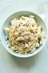 Cheese pasta. Pasta with ricotta, parmesan & blue cheese. 