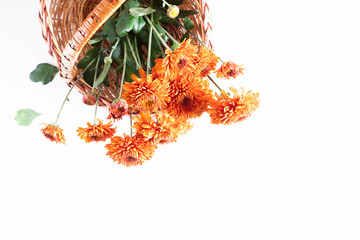 Orange flowers in basket on white background. Basket autumn of flowers. Fall concept. Autumn background. Flat lay, top view, copy space