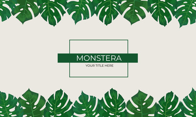 Frame of green leaves of monstera