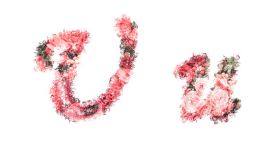 Beautiful illustration of both uppercase and lowercase letters made of spring flowers.