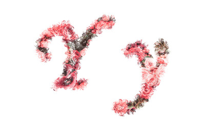 Beautiful illustration of both uppercase and lowercase letters made of spring flowers.