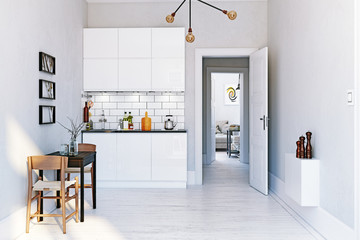 modern scandinavian style kitchen interior.