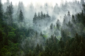 Fototapeten Nebelhafte Berglandschaft © Roxana