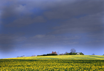 agricultural landscape and farmland warwickshire england uk