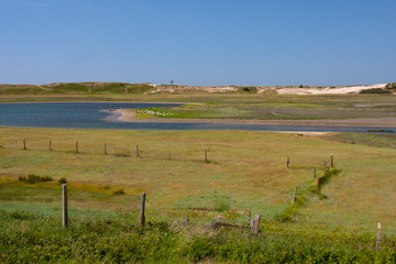 View at Het Zwin in Belgium