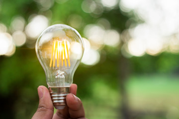 Hand is holding a light bulb for save energy concept or renewable idea with green leaf background. Creative design of environmental development. The growing of new ideas