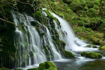Obraz premium 《元滝伏流水》秋田県にかほ市