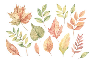 Hand drawn watercolor illustration. Collection with Fall leaves. Forest design elements. Hello Autumn! Perfect for seasonal advertisement, invitations, cards