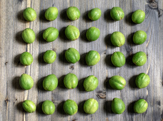 Young green fruits of walnuts lie in rows on a gray wooden background.