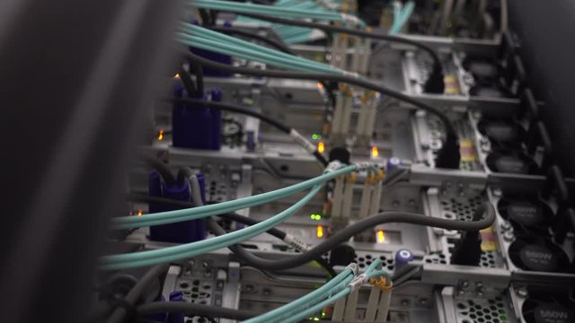 It engineer closes the server door. Blue Optical cable close up on server rack background.