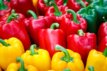 close up ripe red bell pepper in greenhouses farming